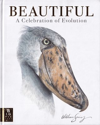 Красота: Праздник эволюции / Уильям Спринг/. Лондон: Big Picture Press, 2024. 
112 с., ил., 34,9 