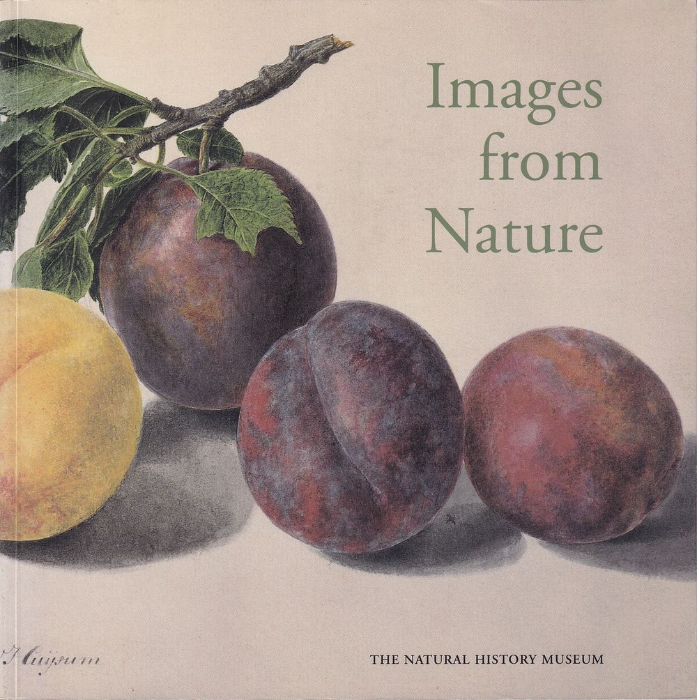 Образы из природы: живопись и рисунки из библиотеки лондонского музея естественной истории. Лондо 