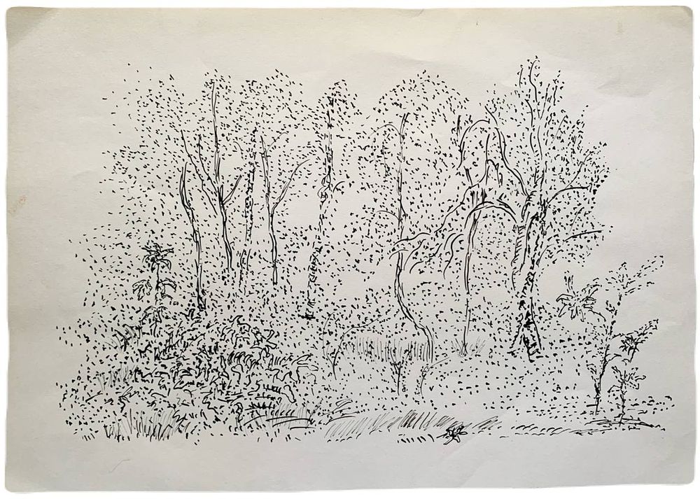 "Роща". По подписи Б.П. Свешников. 1990-е годы. Бумага, маркеры. 
Размеры: 30,5 х 21,5 см. 