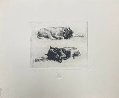 Сухая игла "Не будите спящего питбуля". Гончар Андрей Алексеевич. 2012 год. Размеры: 30 х 25 