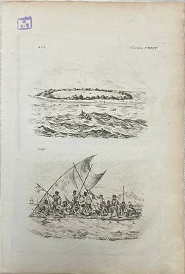 Гравюра "Коралловое море". 1835 год. Размеры: 28 х 19 см. 
Из атласа: 
Дюмон-Дюрвиль Ж. С. С. 