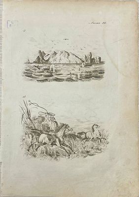 Гравюра "Остров Тринити". 1835 год. Размеры: 27.3 х 19.3 см. 
Из атласа: 
Дюмон-Дюрвиль Ж. С. 