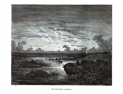 Ксилография "Саванны Миссисипи". Гюстав Доре. . Иллюстрация к роману Шатобриана &laquo;Атала&raquo;. 