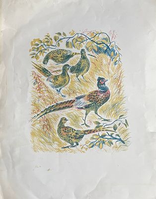 Цветная литография "Фазаны". Т.Васильева. . Размеры: 57 х 45 см. 
Васильева Татьяна Дмитриевна 