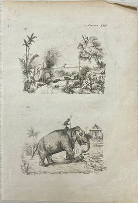 Гравюра "Цейлон". 1835 год. Размеры: 18.4 х 27.4 см. 
Из атласа: 
Дюмон-Дюрвиль Ж. С. С. 