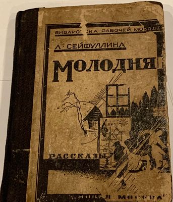 [Редкость] Л. Сейфуллина "Молодняк". 1924 год. . Рассказы издательство Новая Москва. Серия 