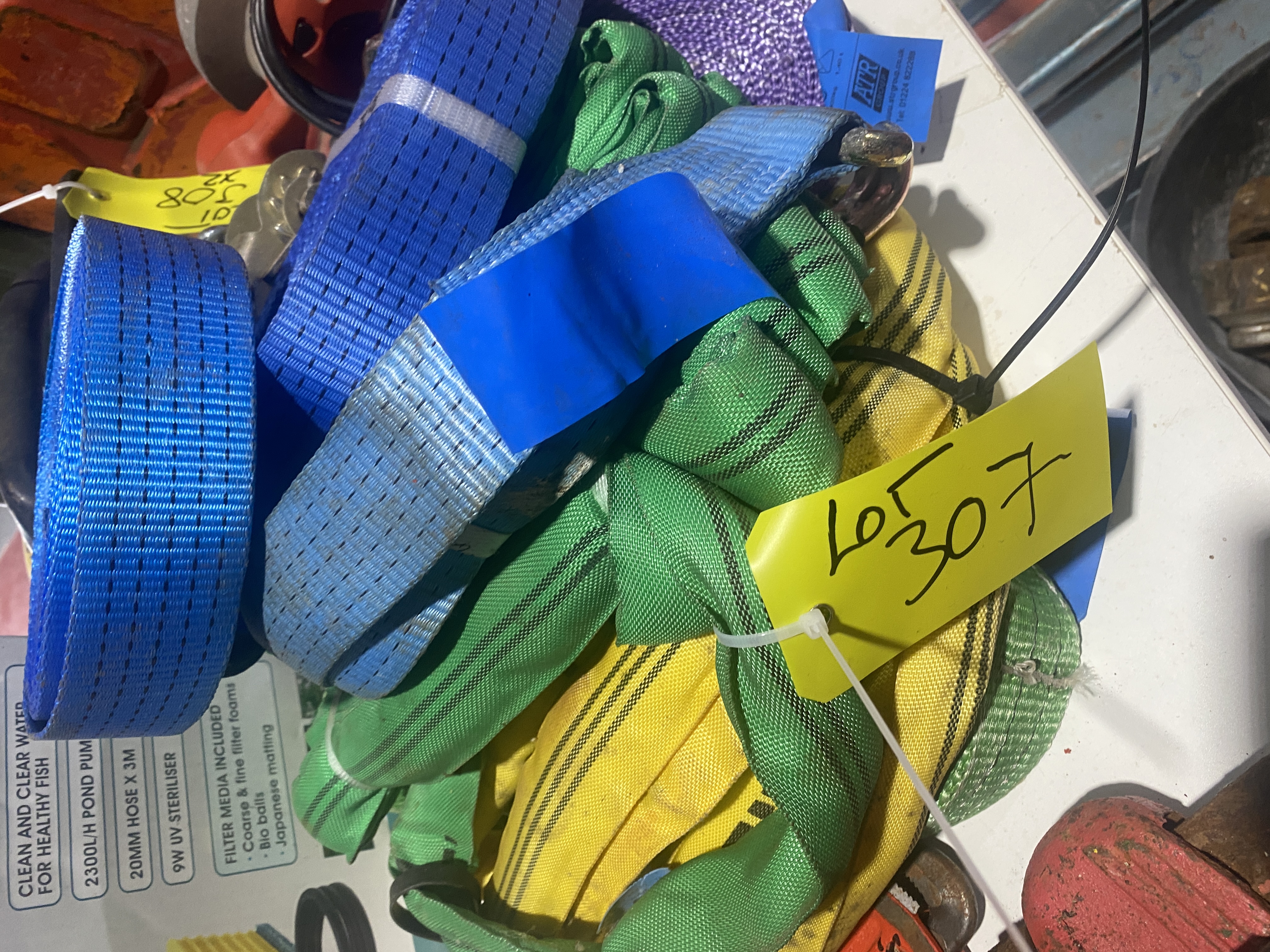 Lot 307