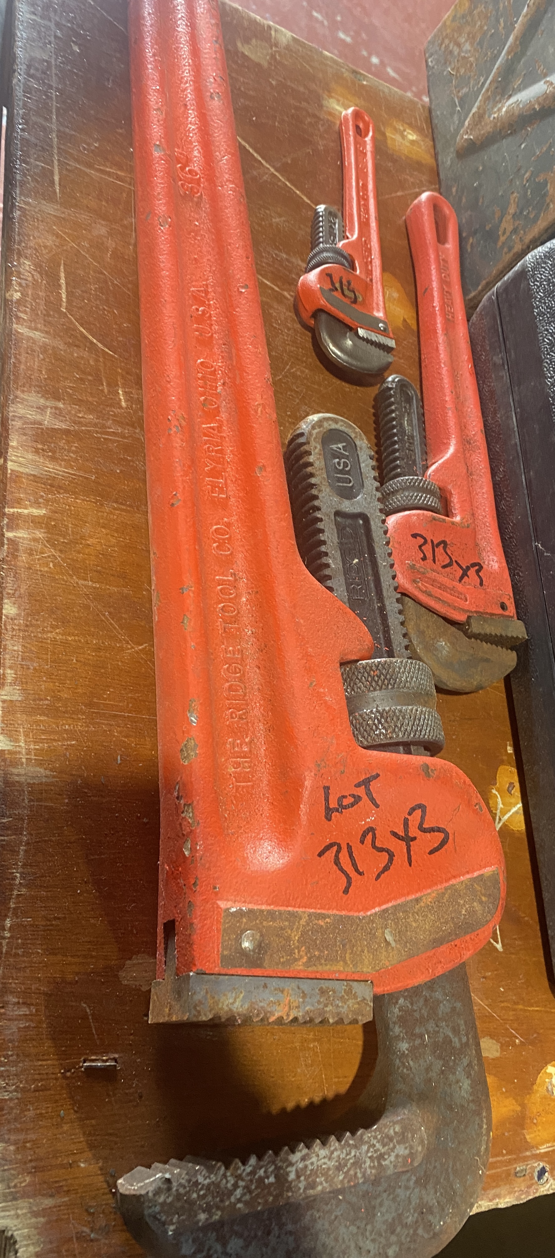 Lot 313