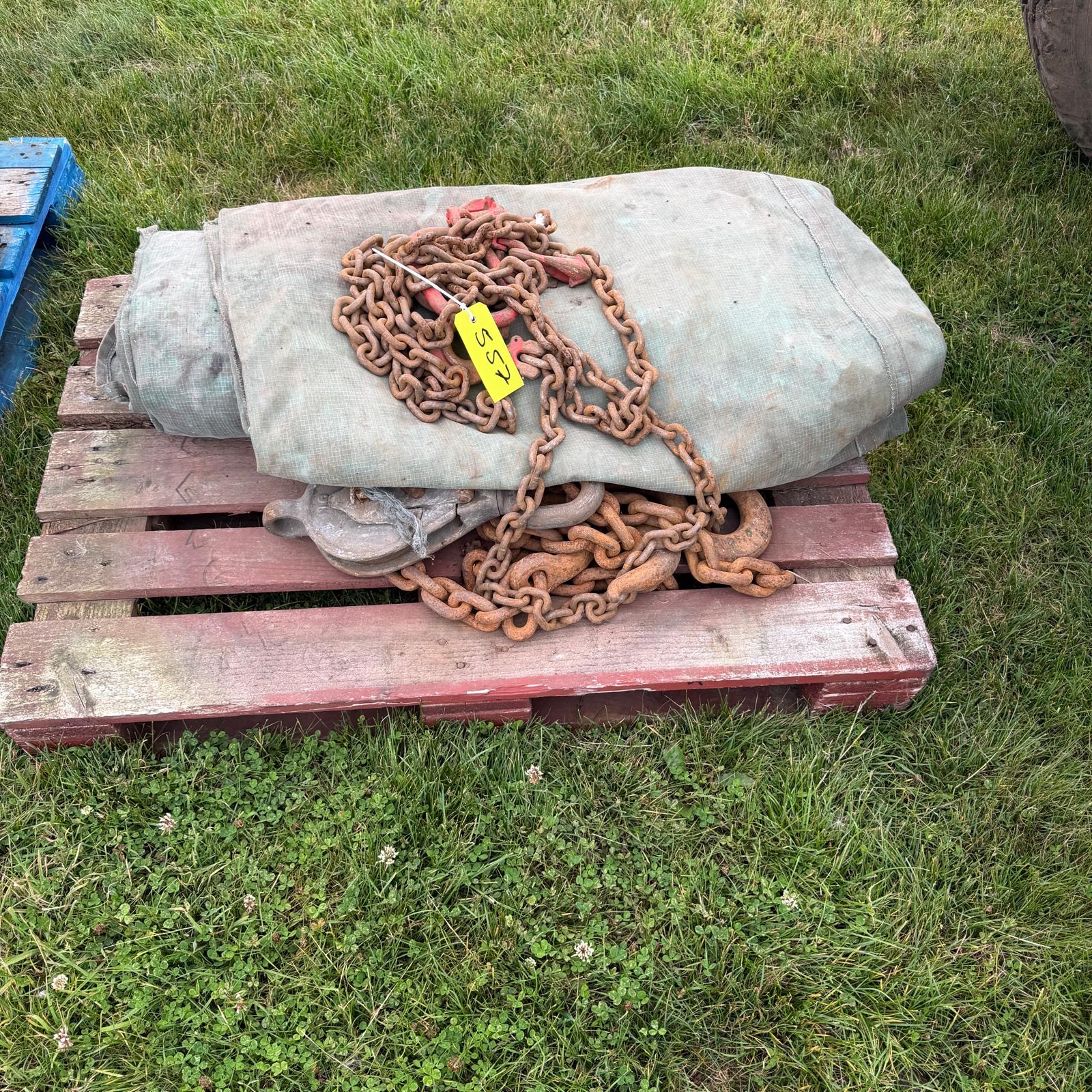 Lot 557