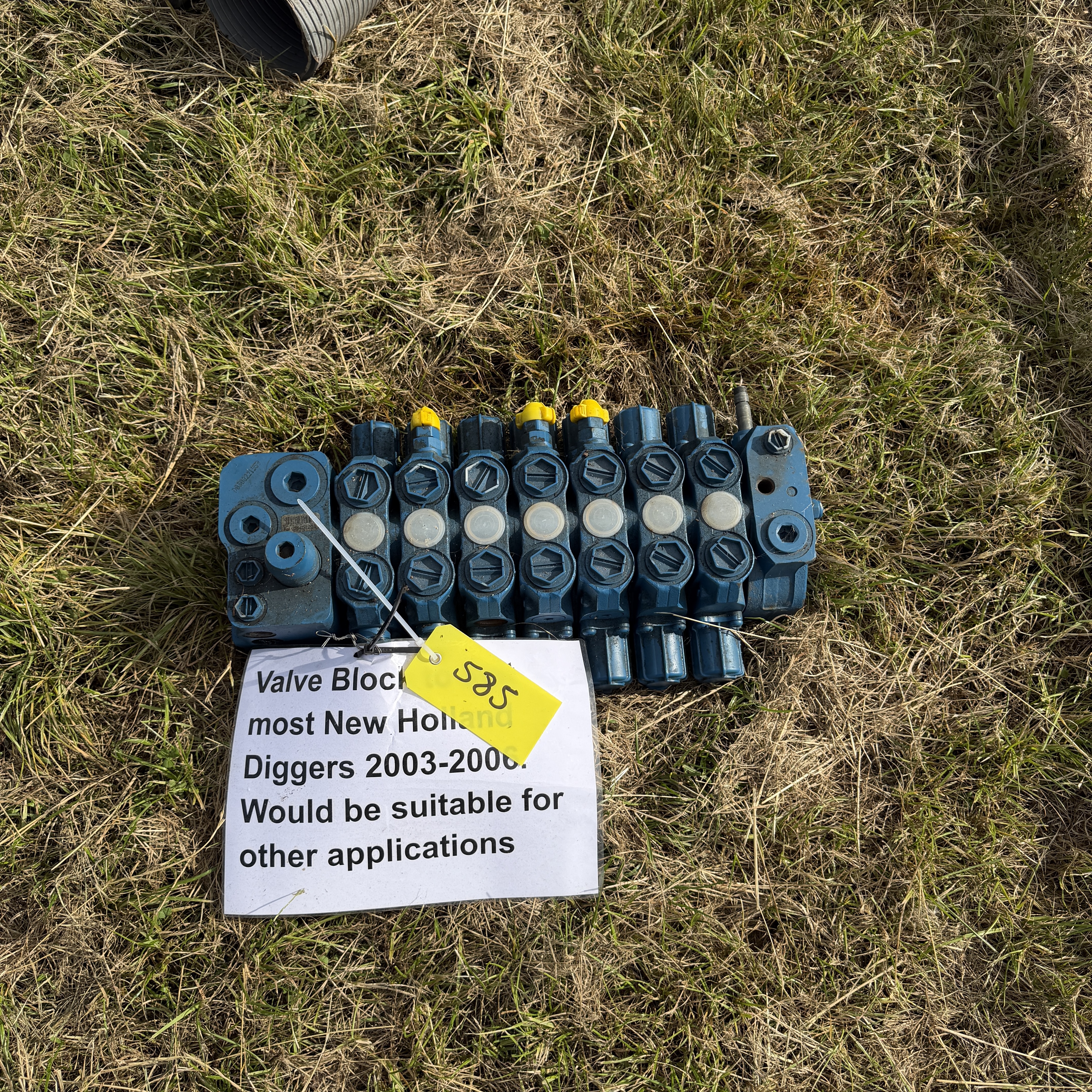 Lot 585