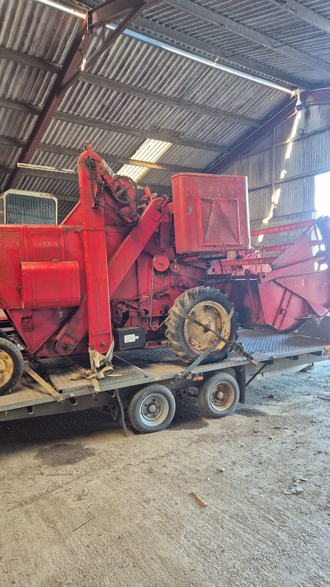 Lot 801