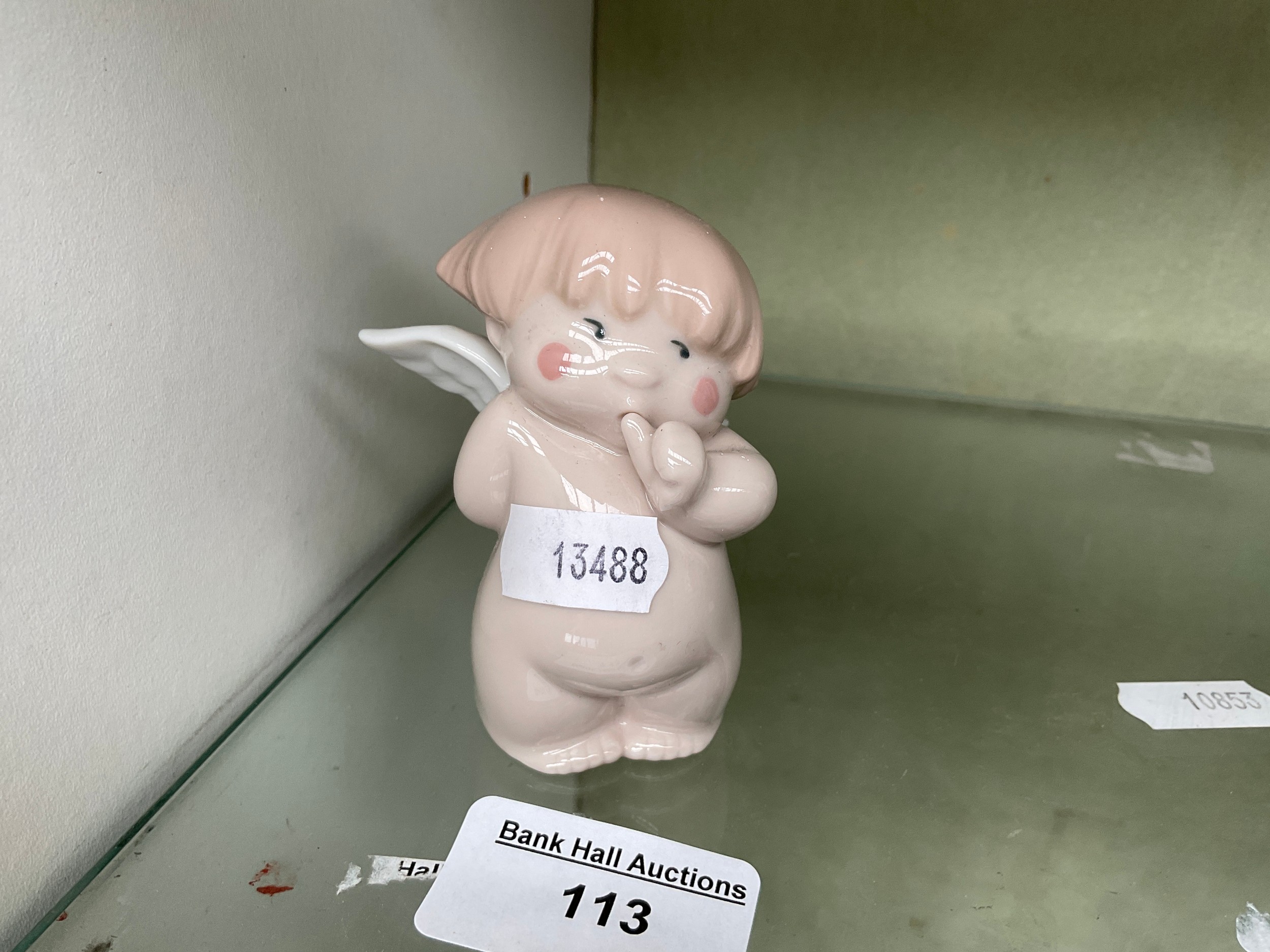 Lot 113