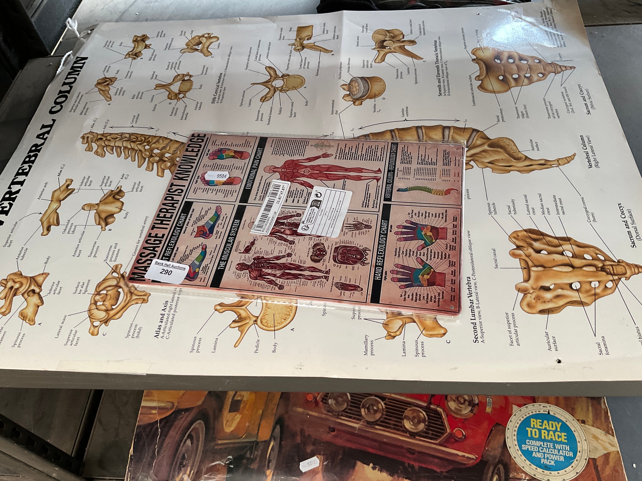 Lot 290