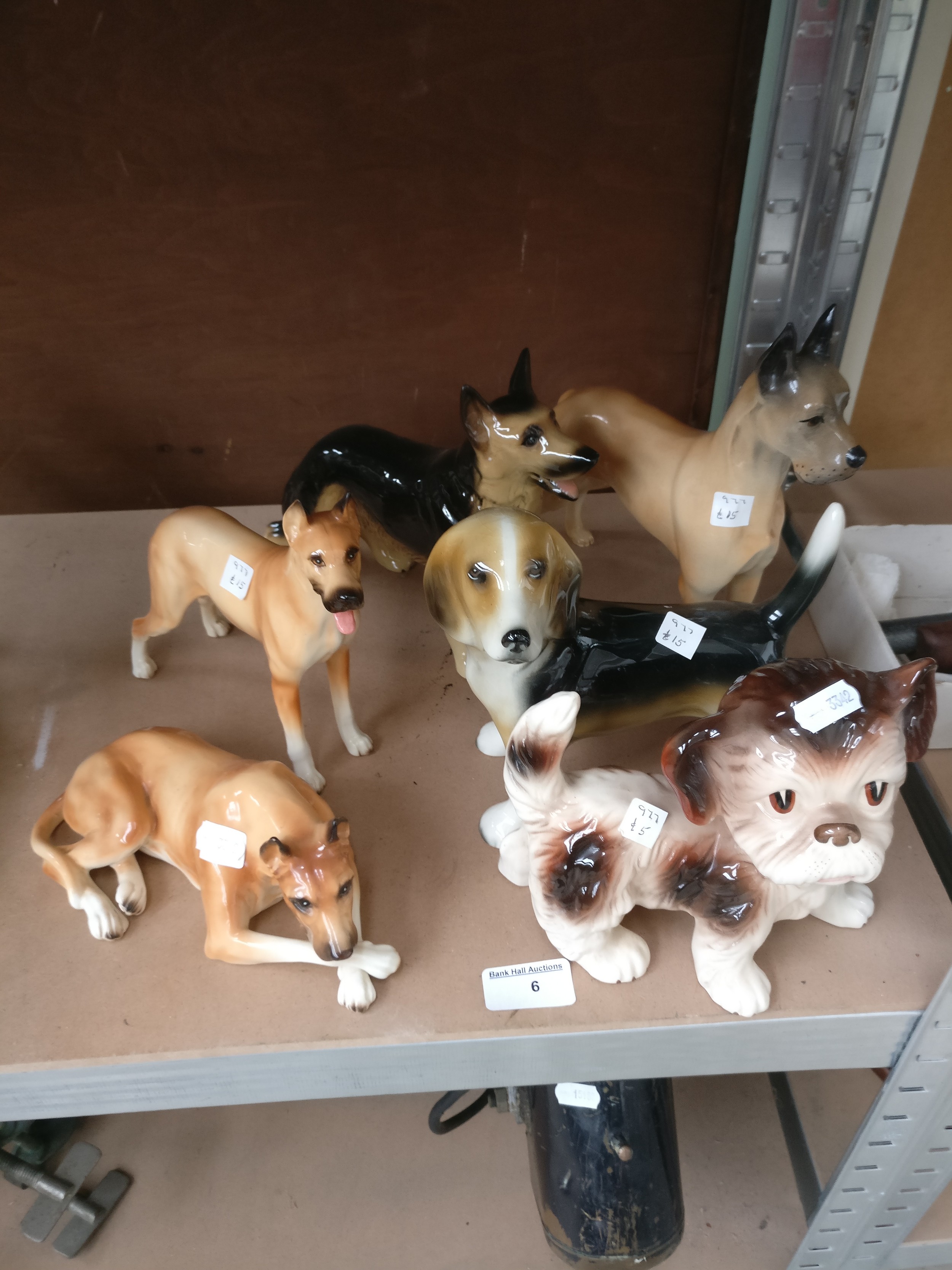 Lot 6