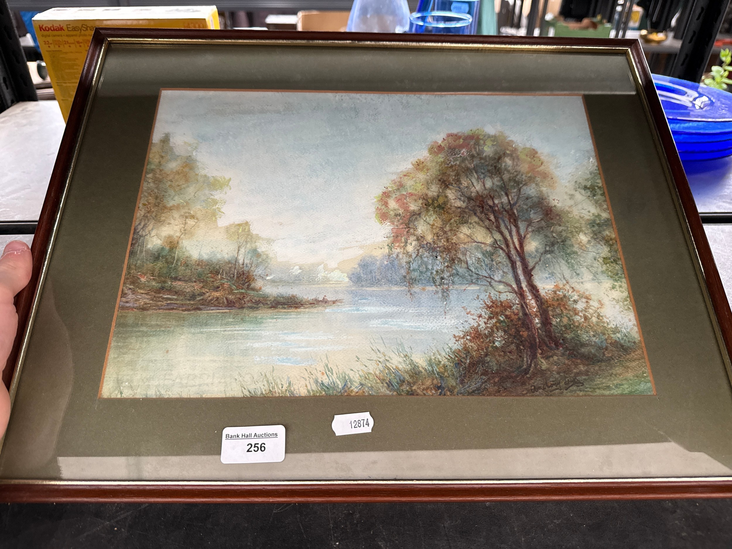 Lot 256