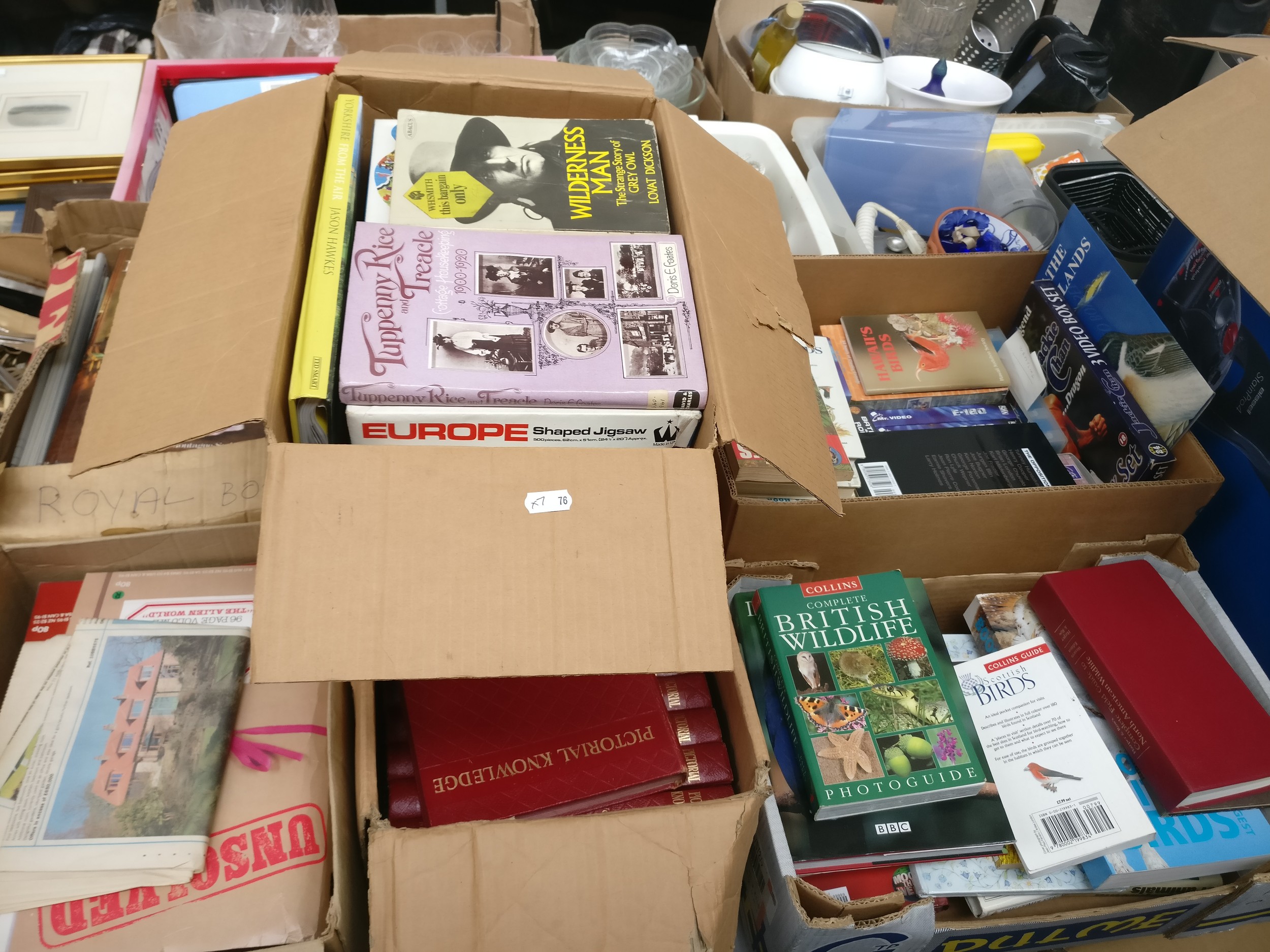 Seven boxes of books