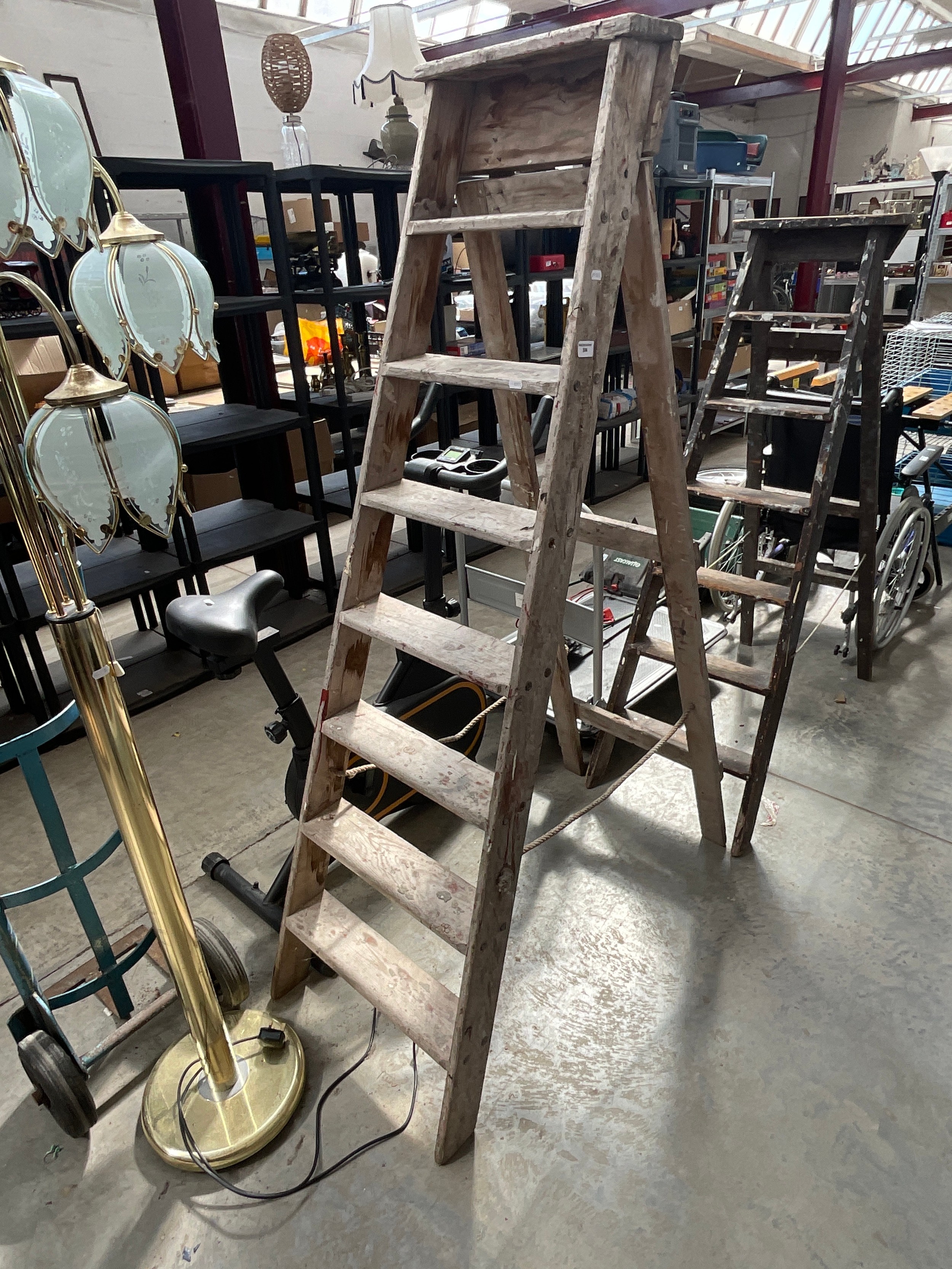 Lot 384