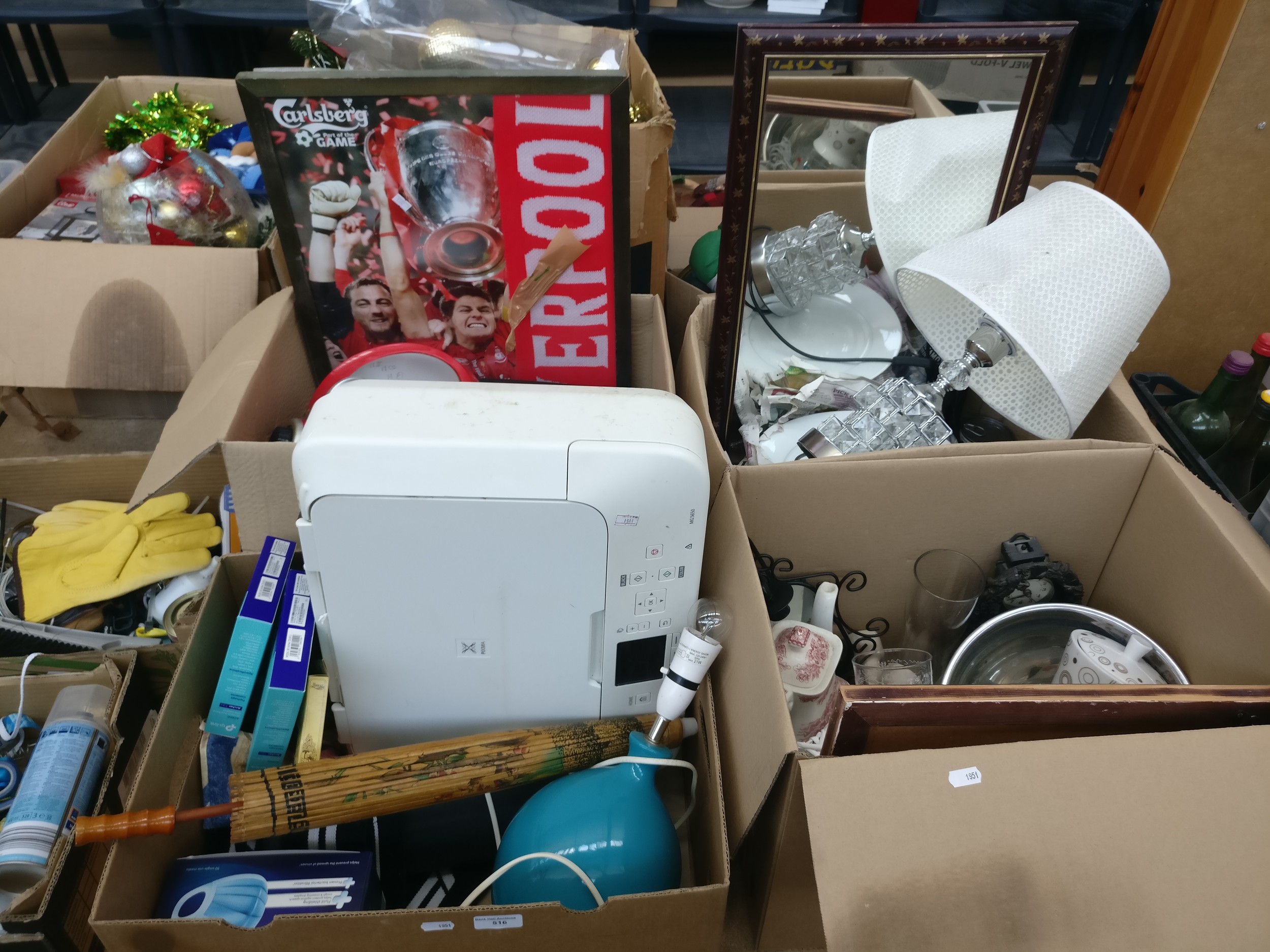 Lot 516