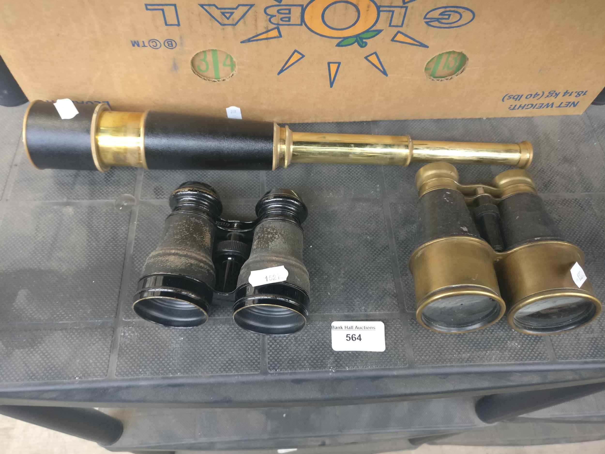 Lot 564