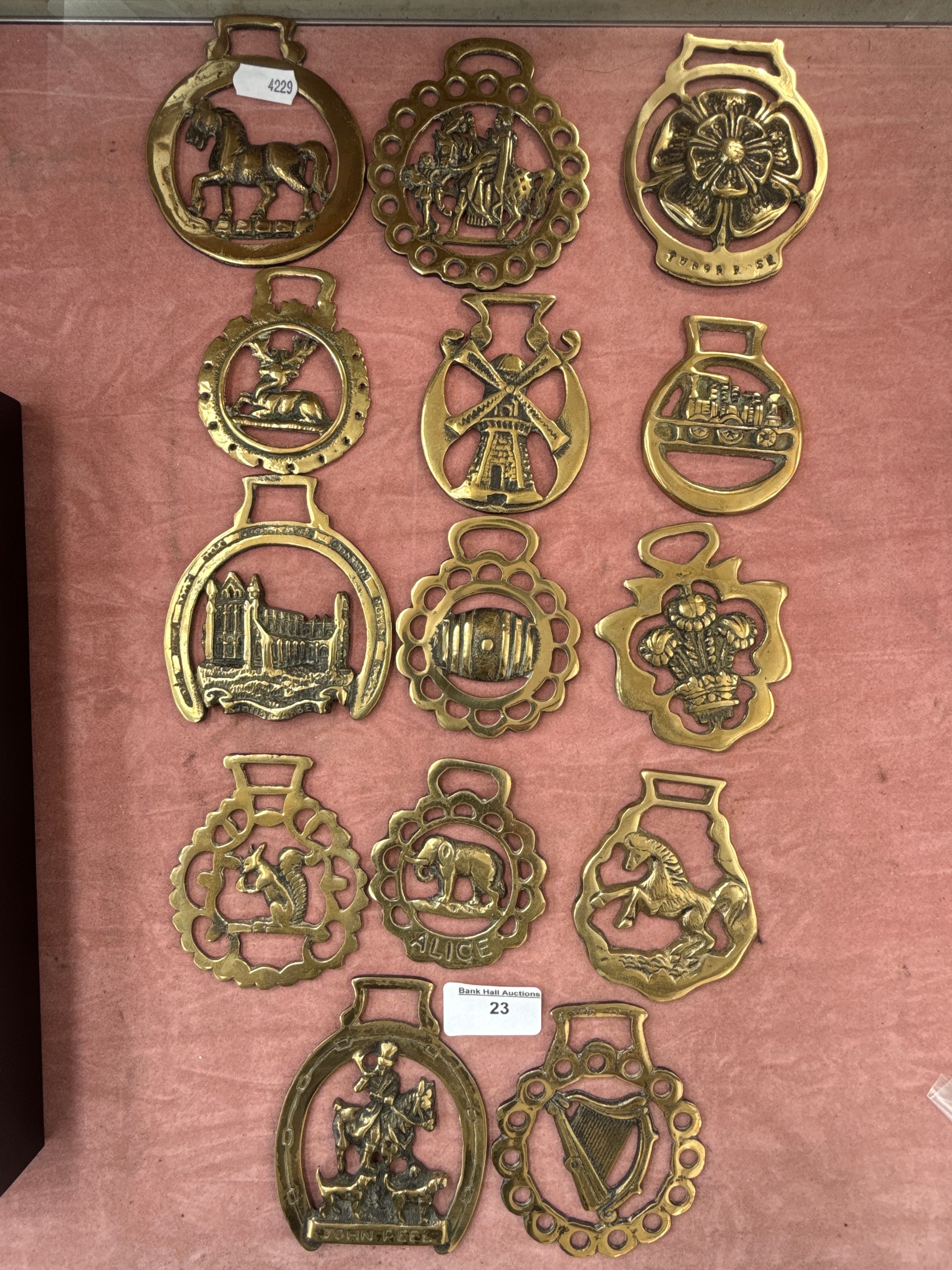 Lot 23