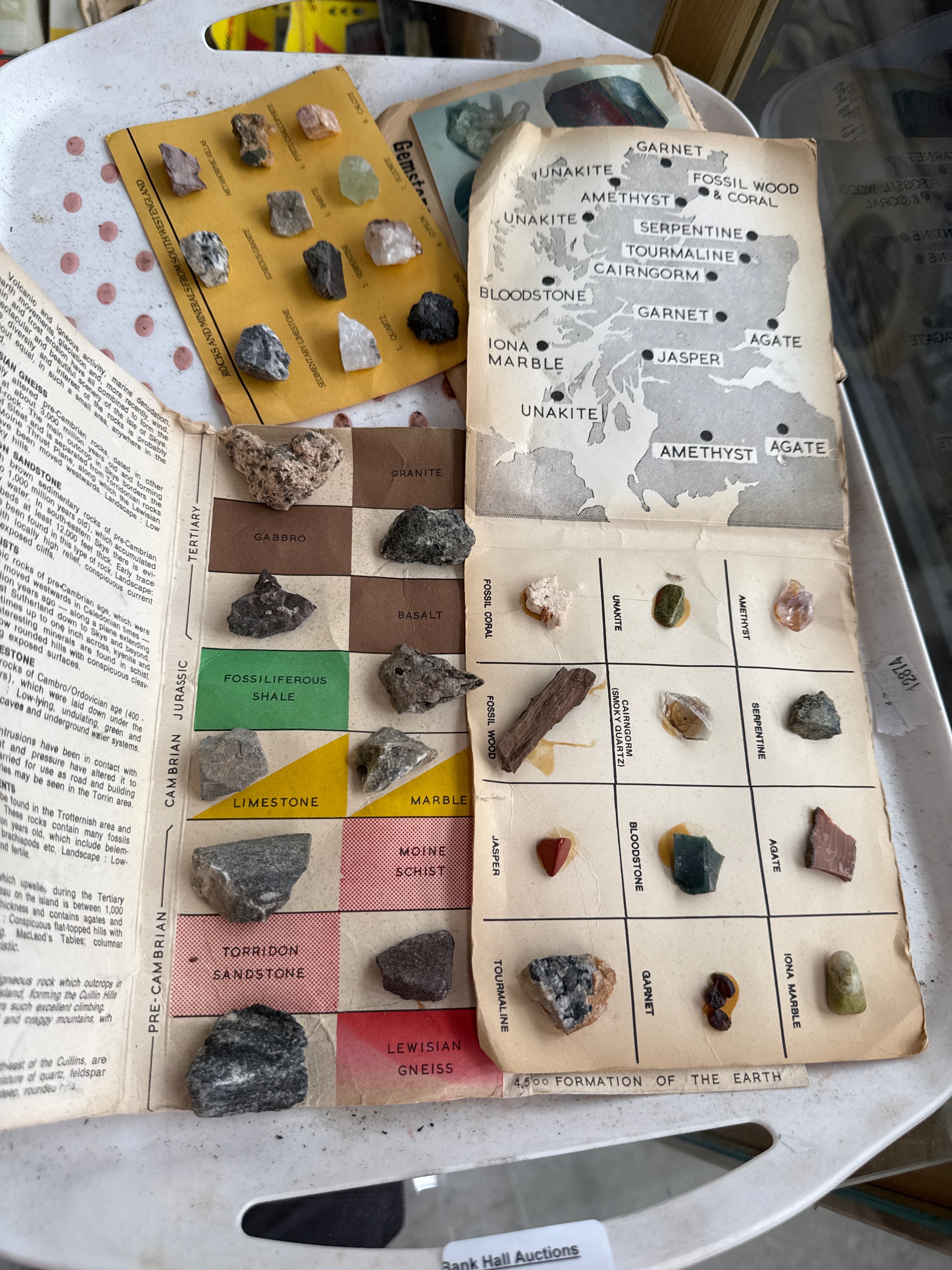 Lot 260