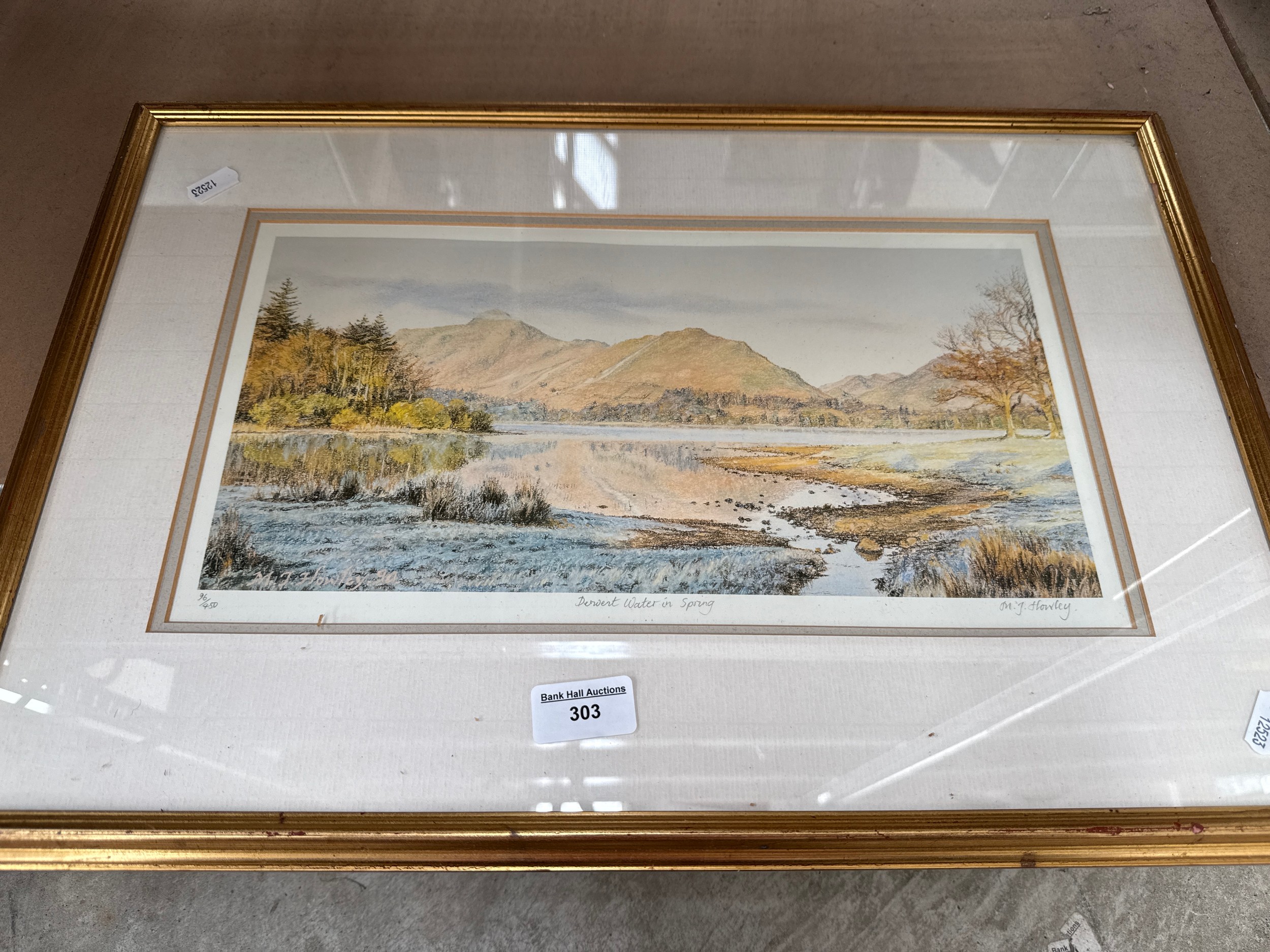 Lot 303