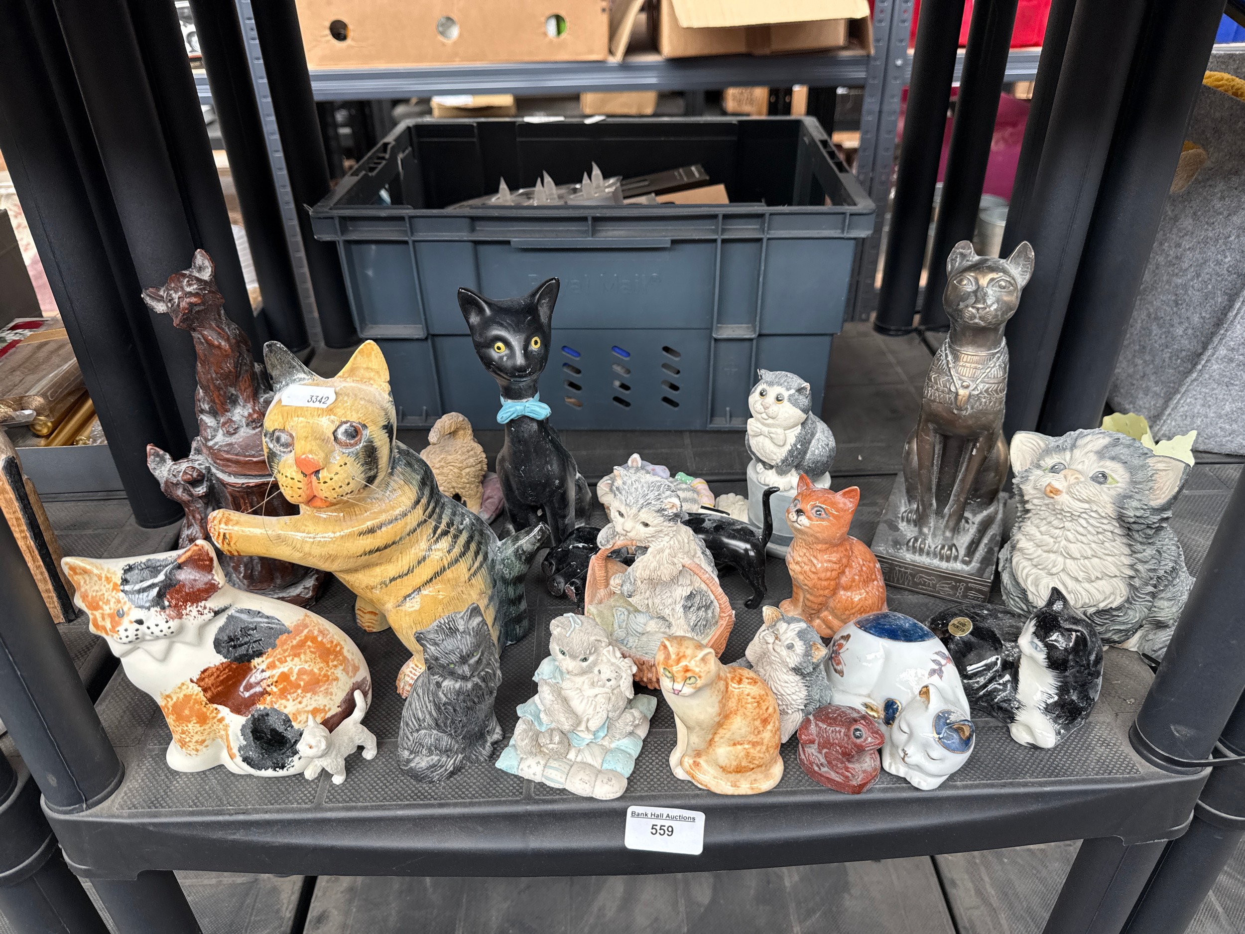 Lot 559
