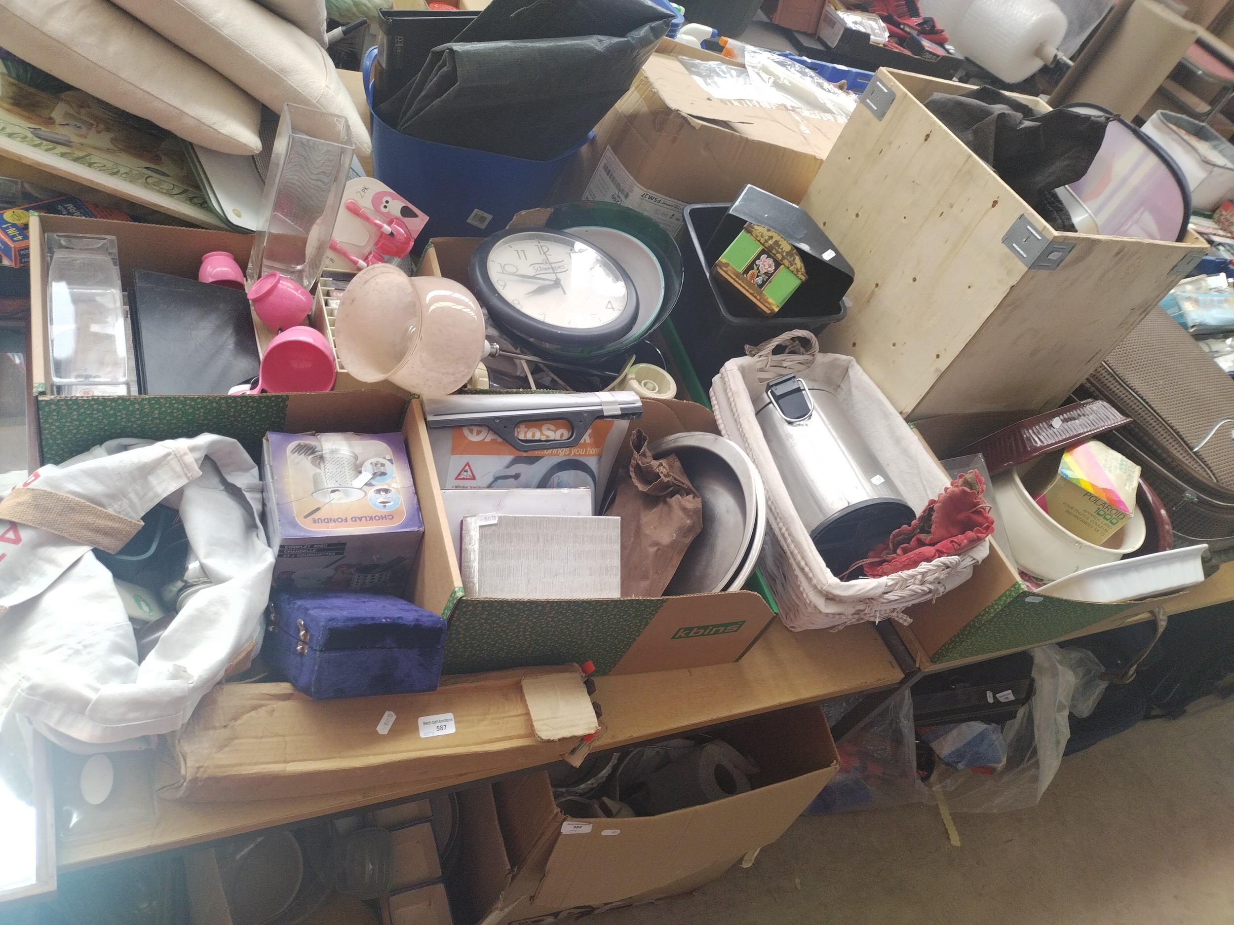 Lot 587