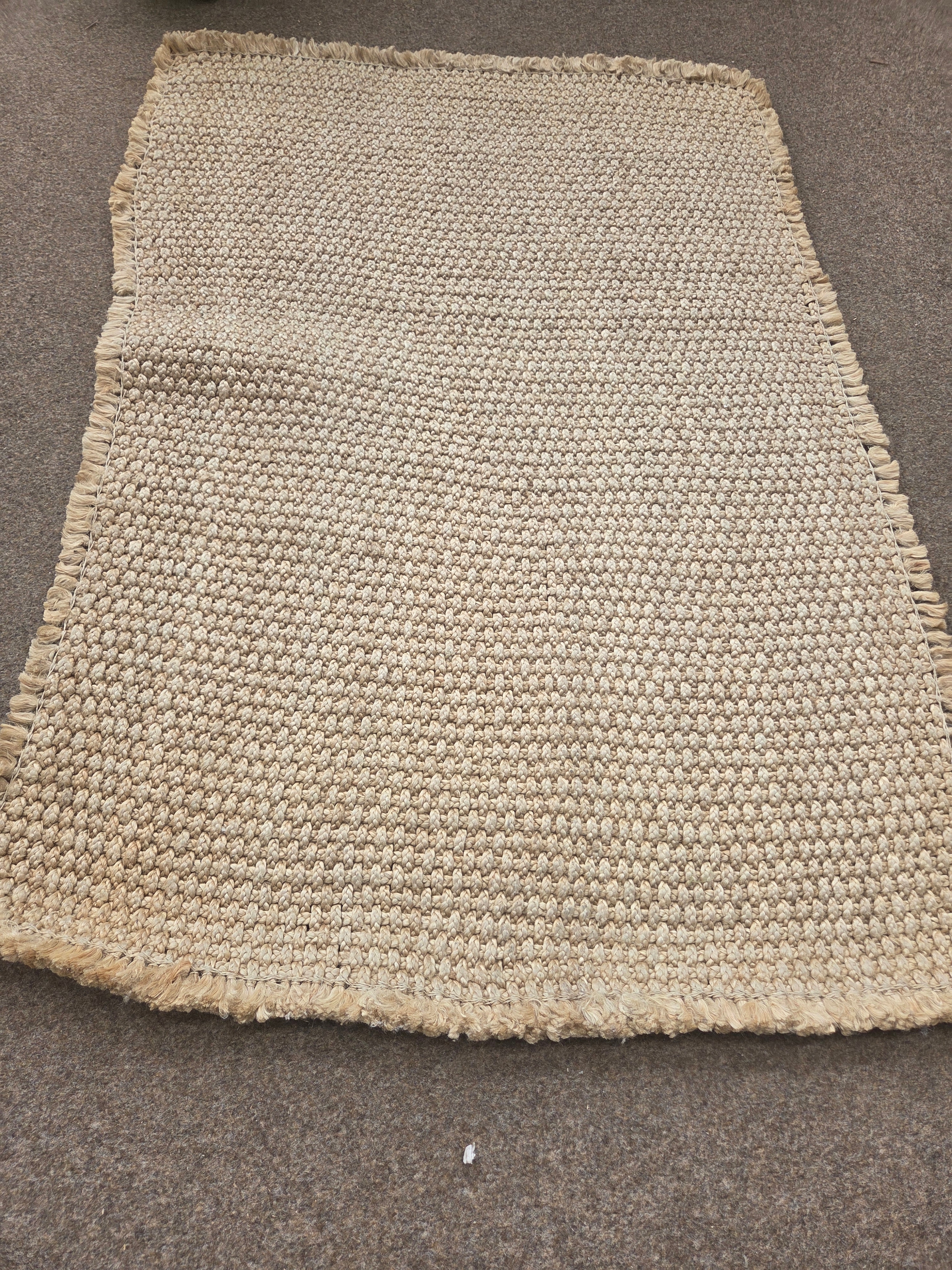 Lot 729