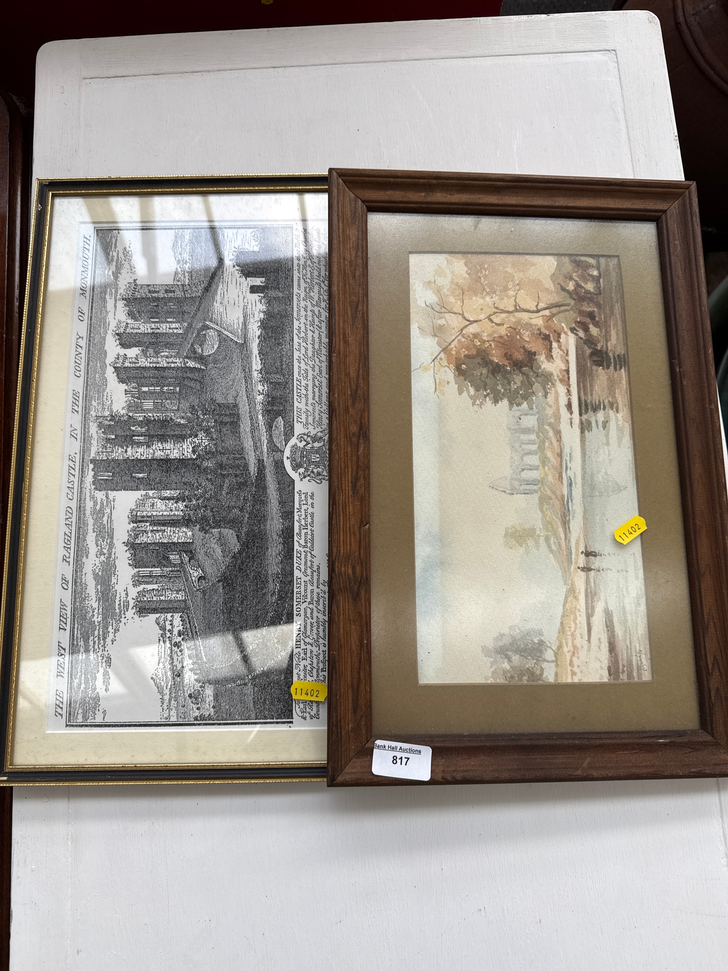Lot 817
