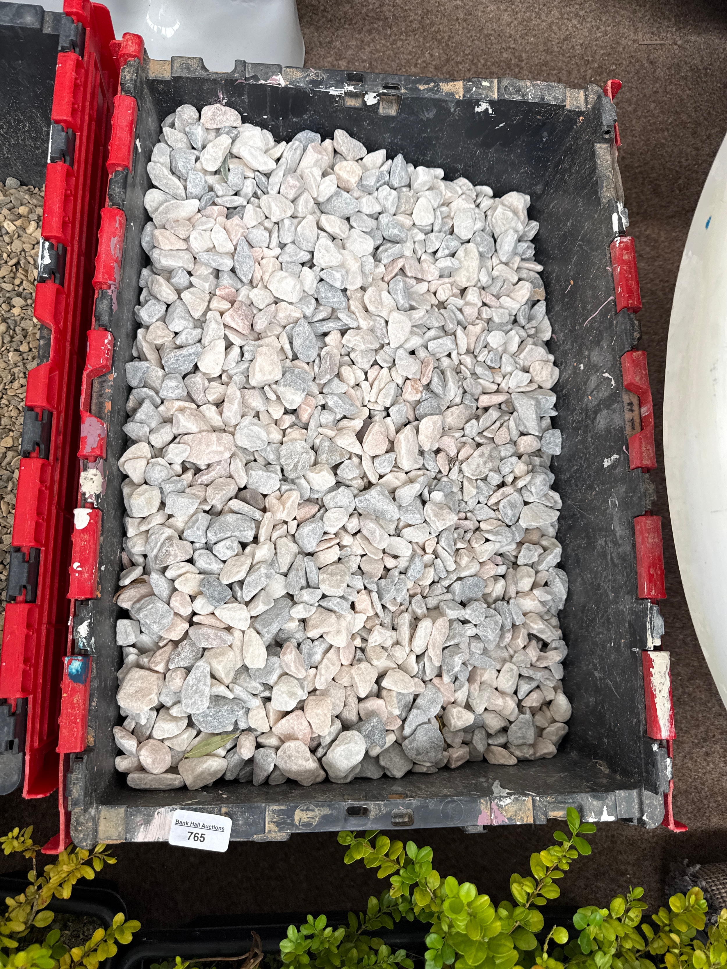 Lot 765