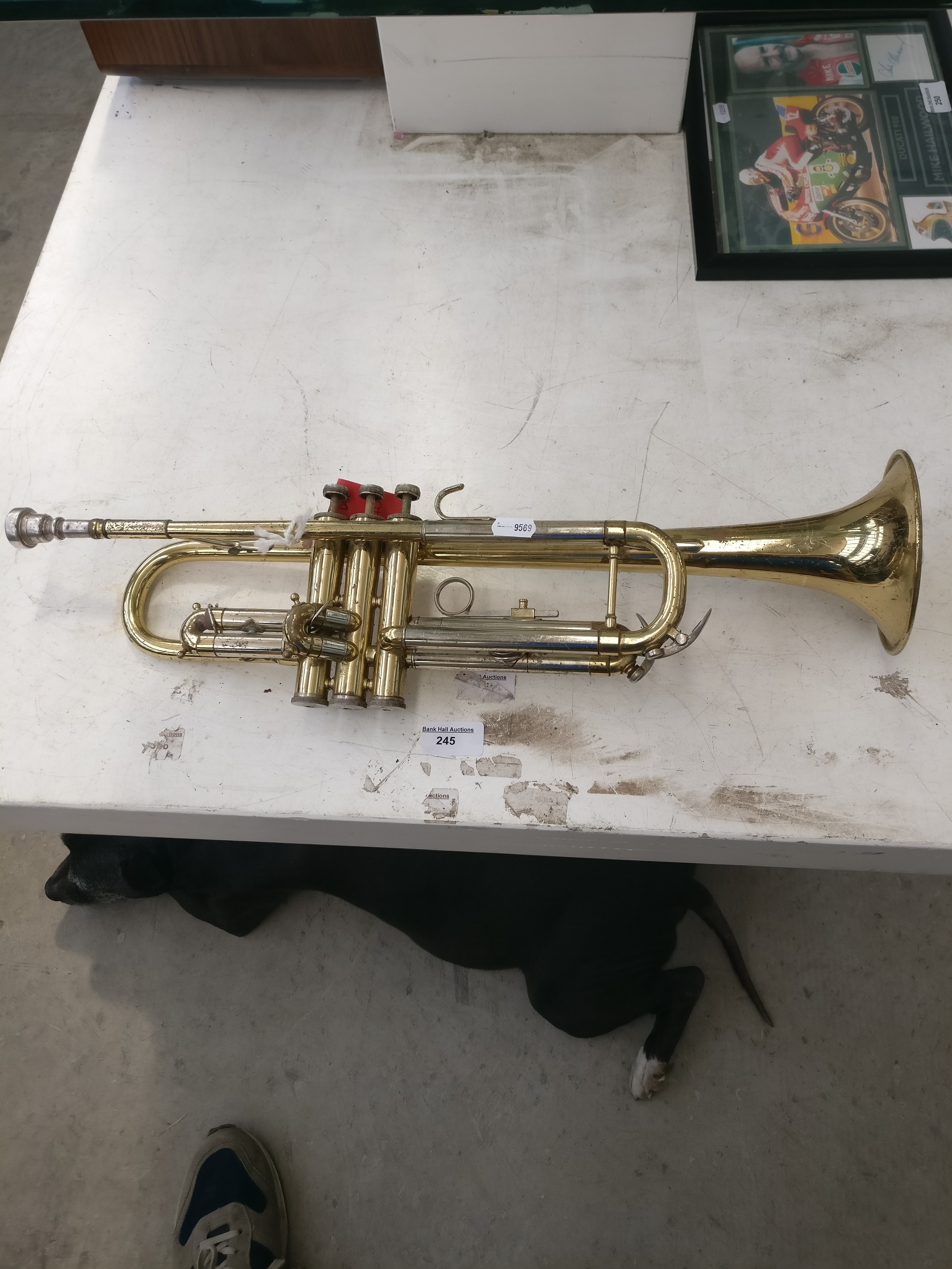 Lot 245
