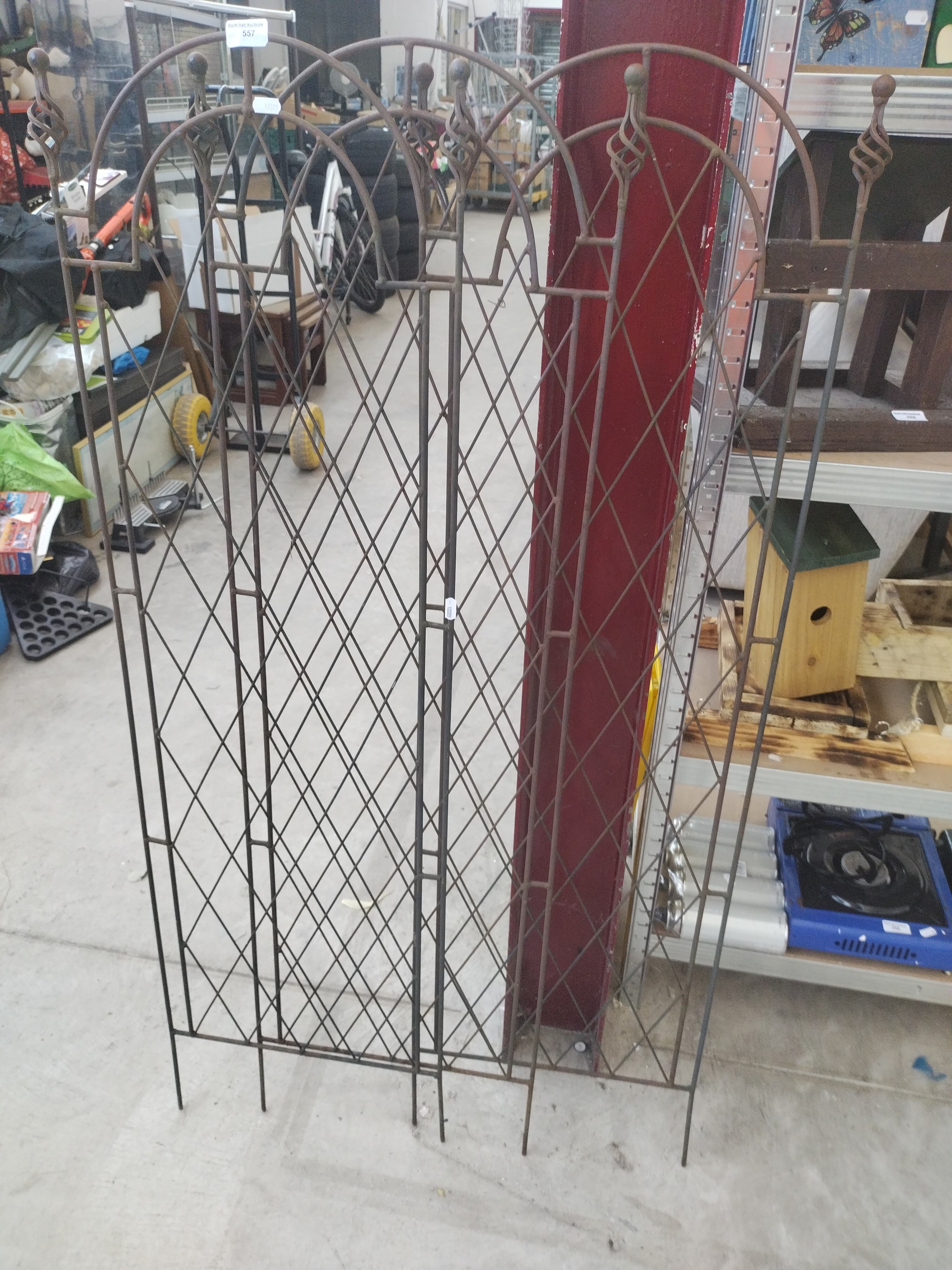 Lot 557