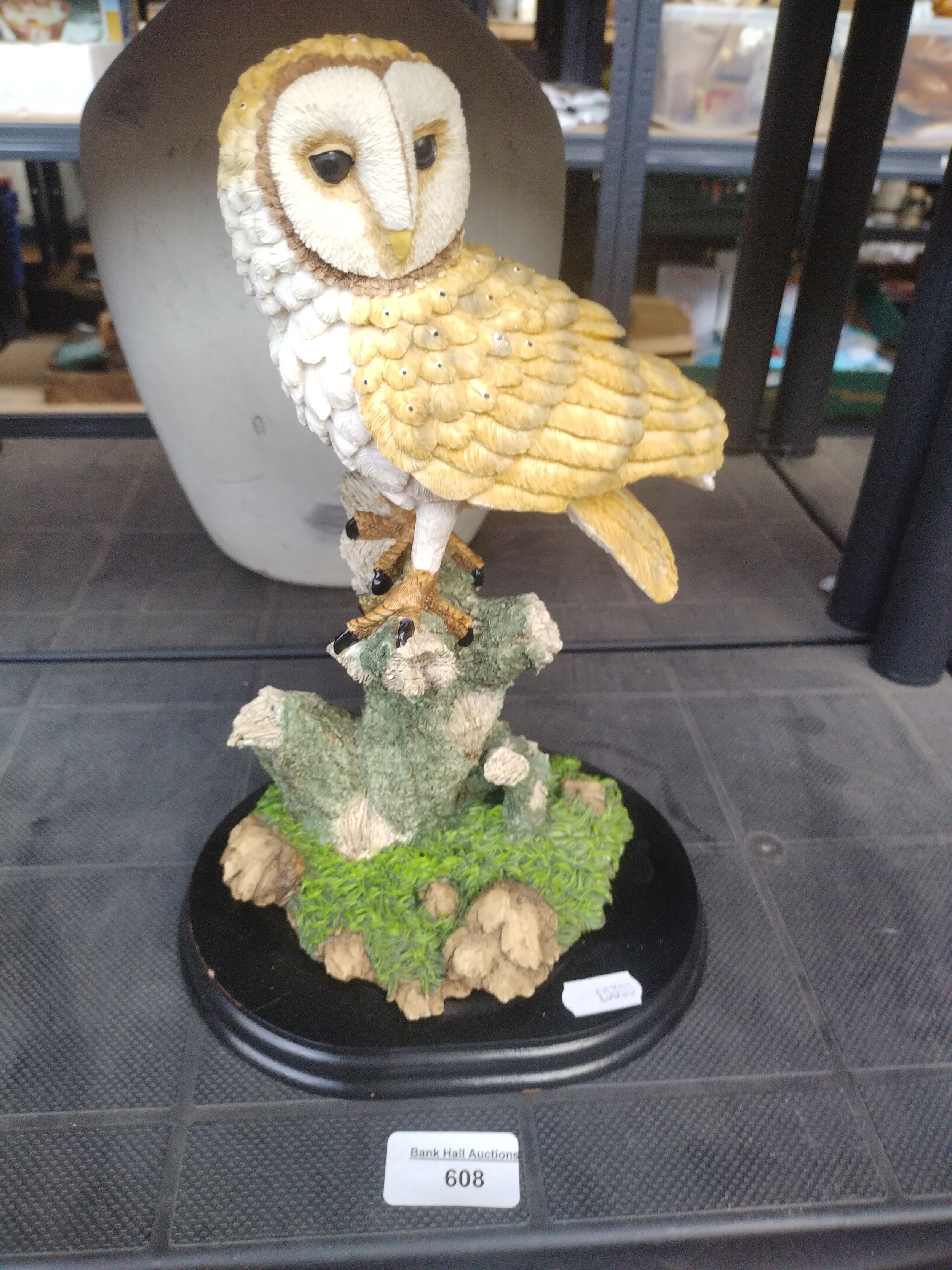Lot 608