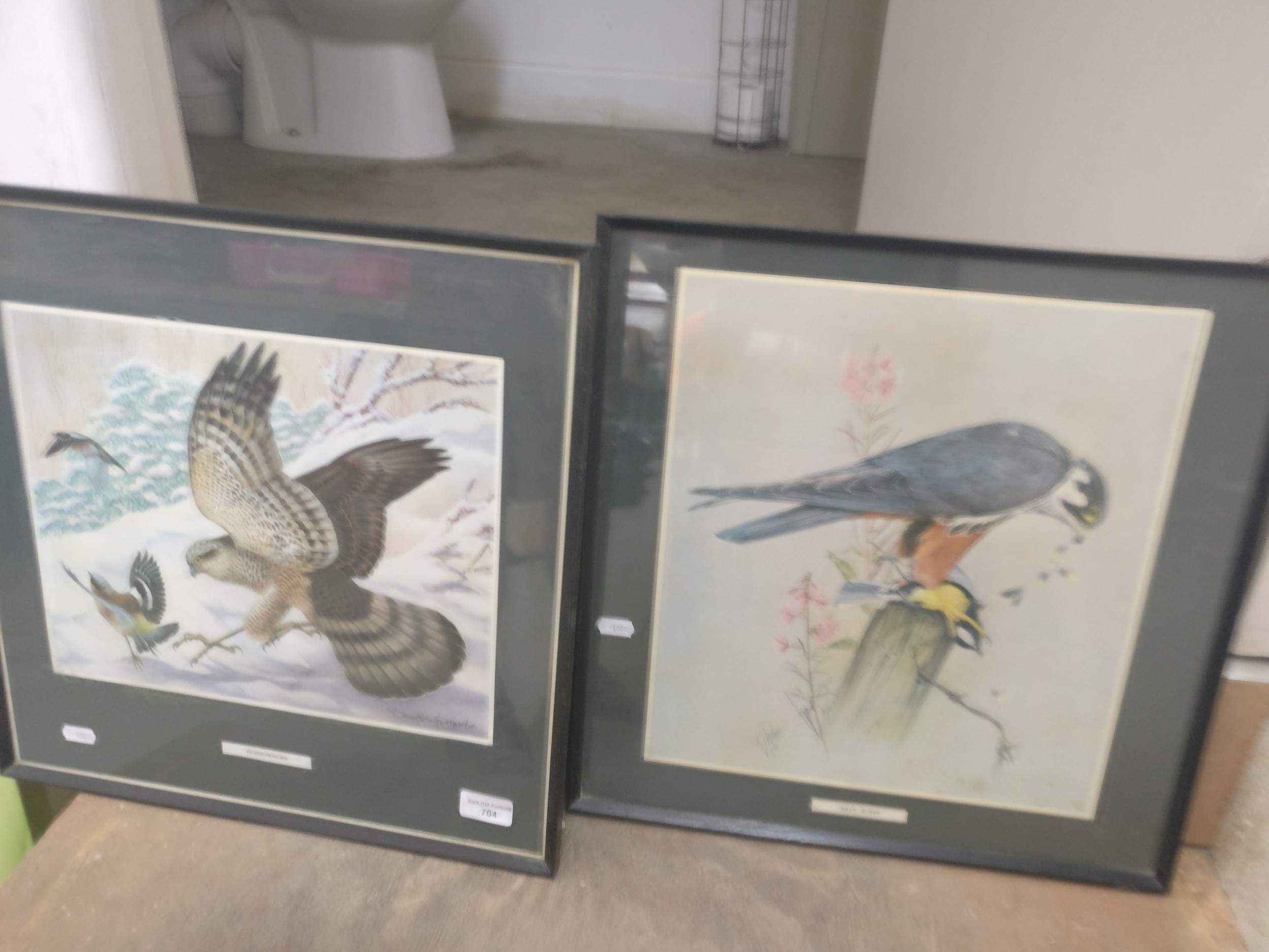 Two bird prints