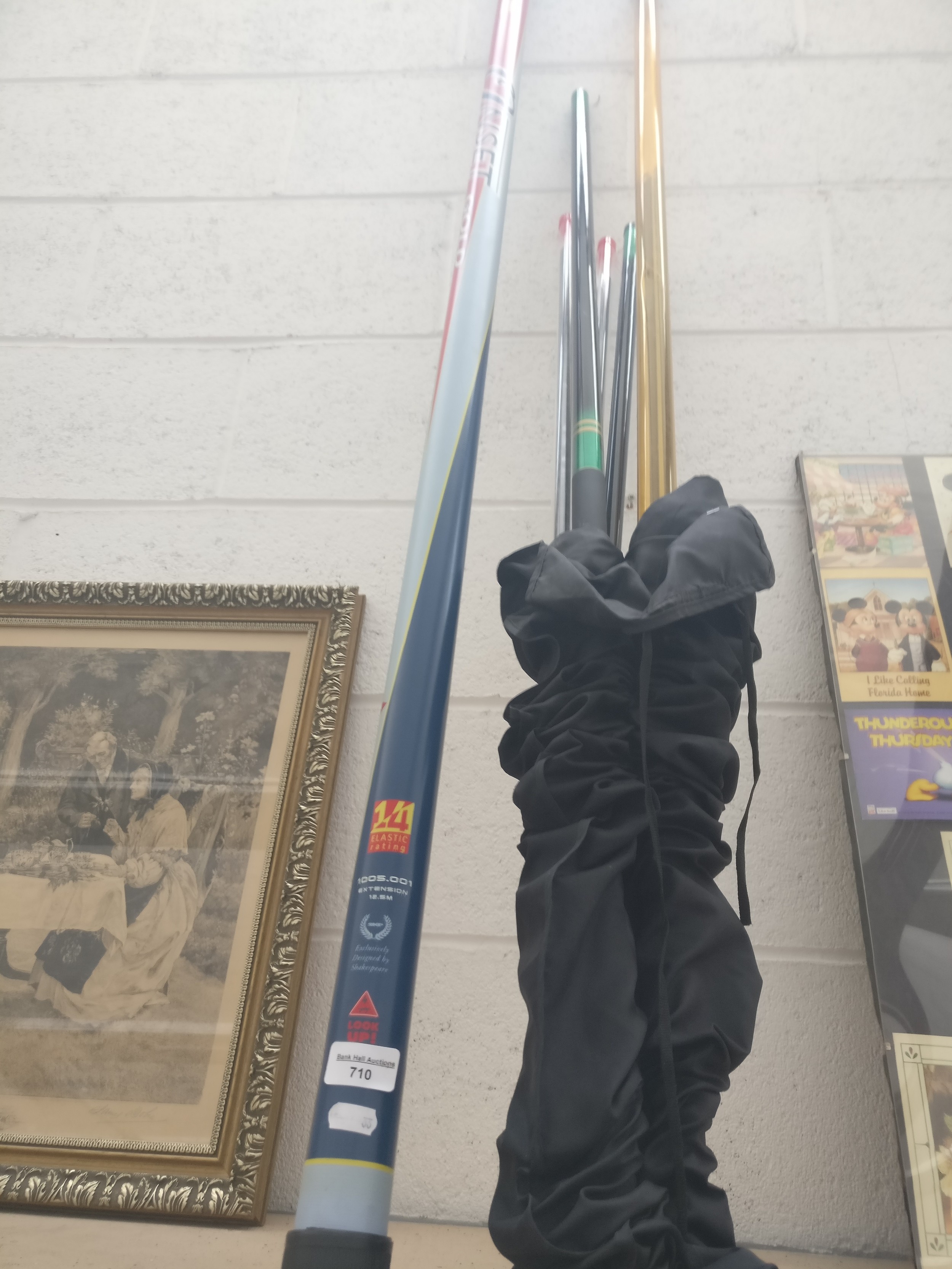 Fishing pole rods
