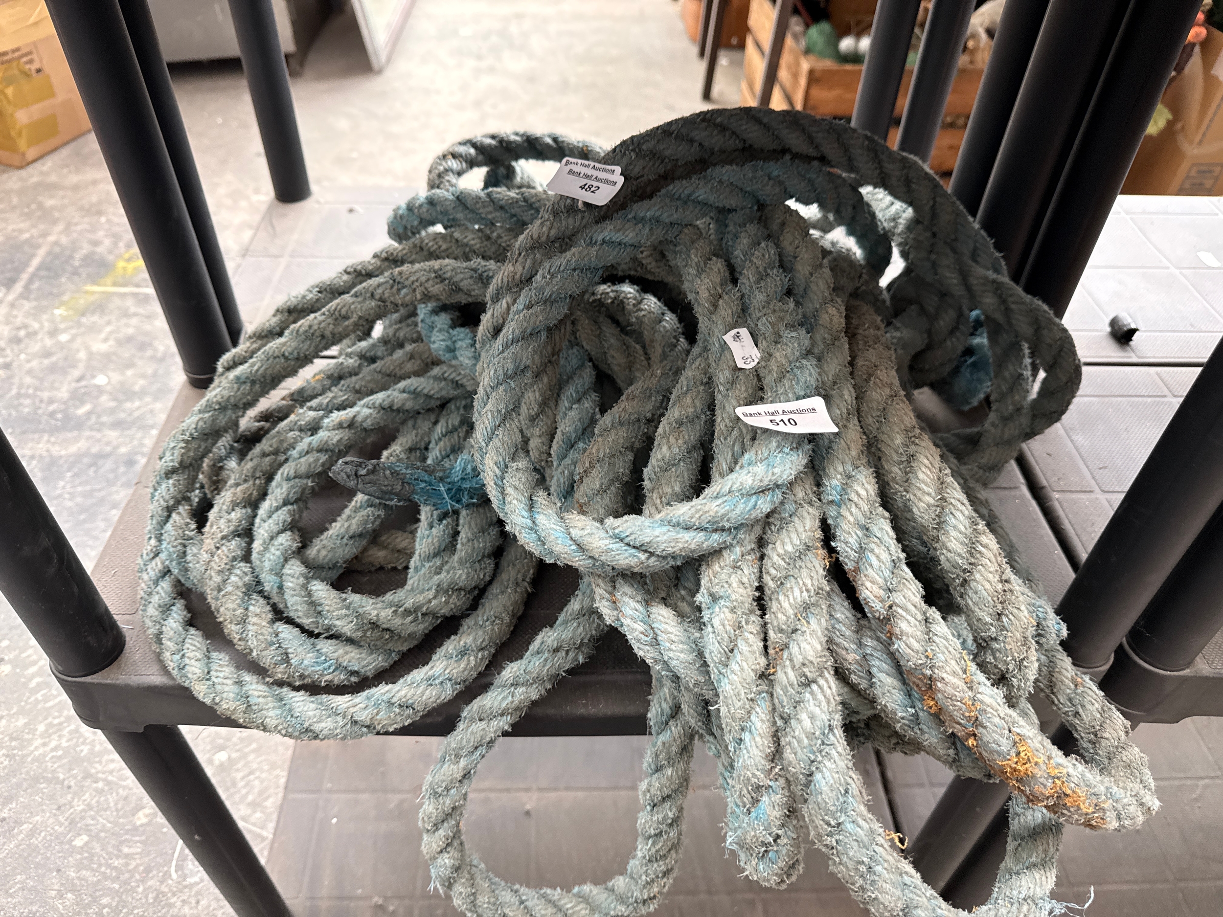 Lot 510