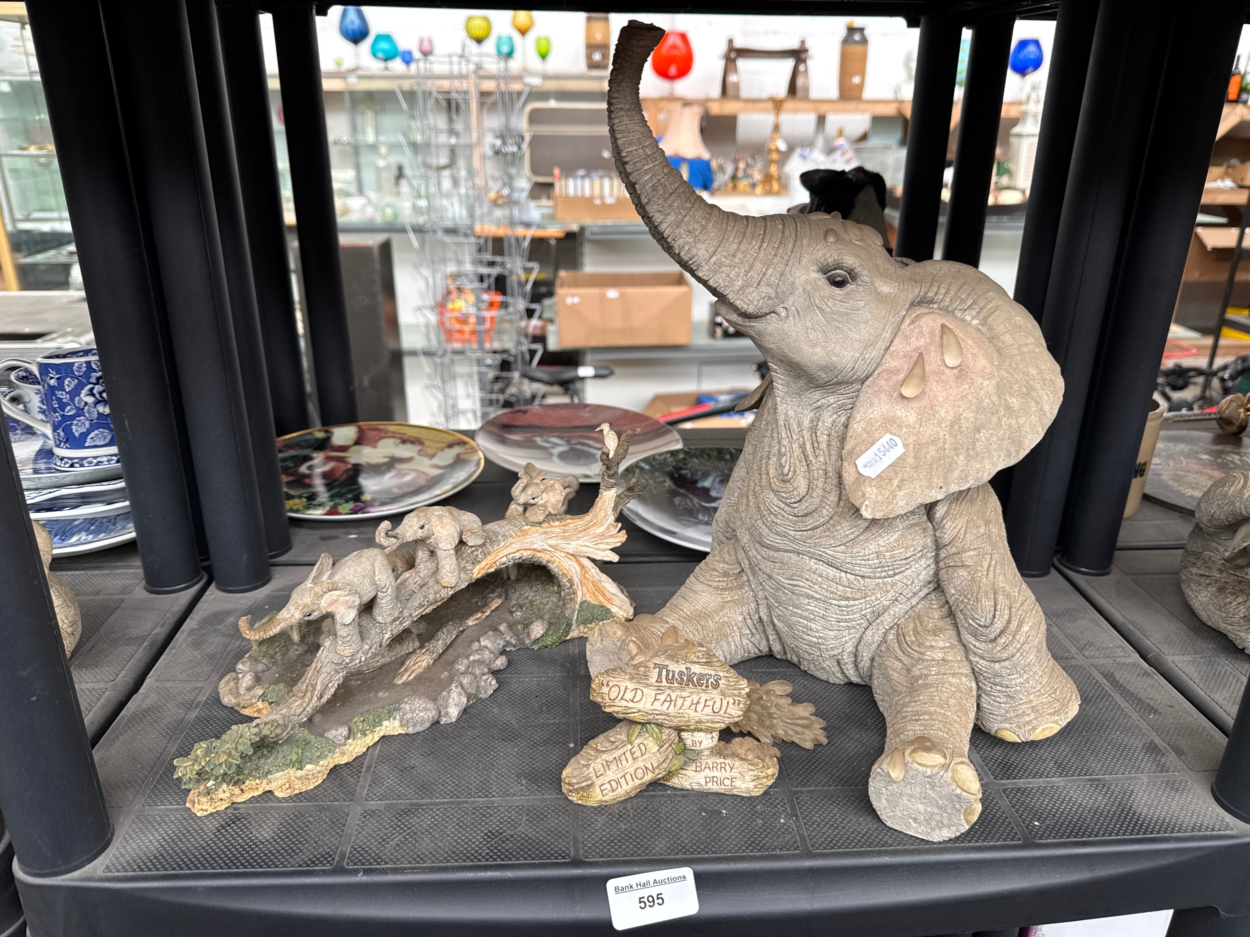 Lot 595