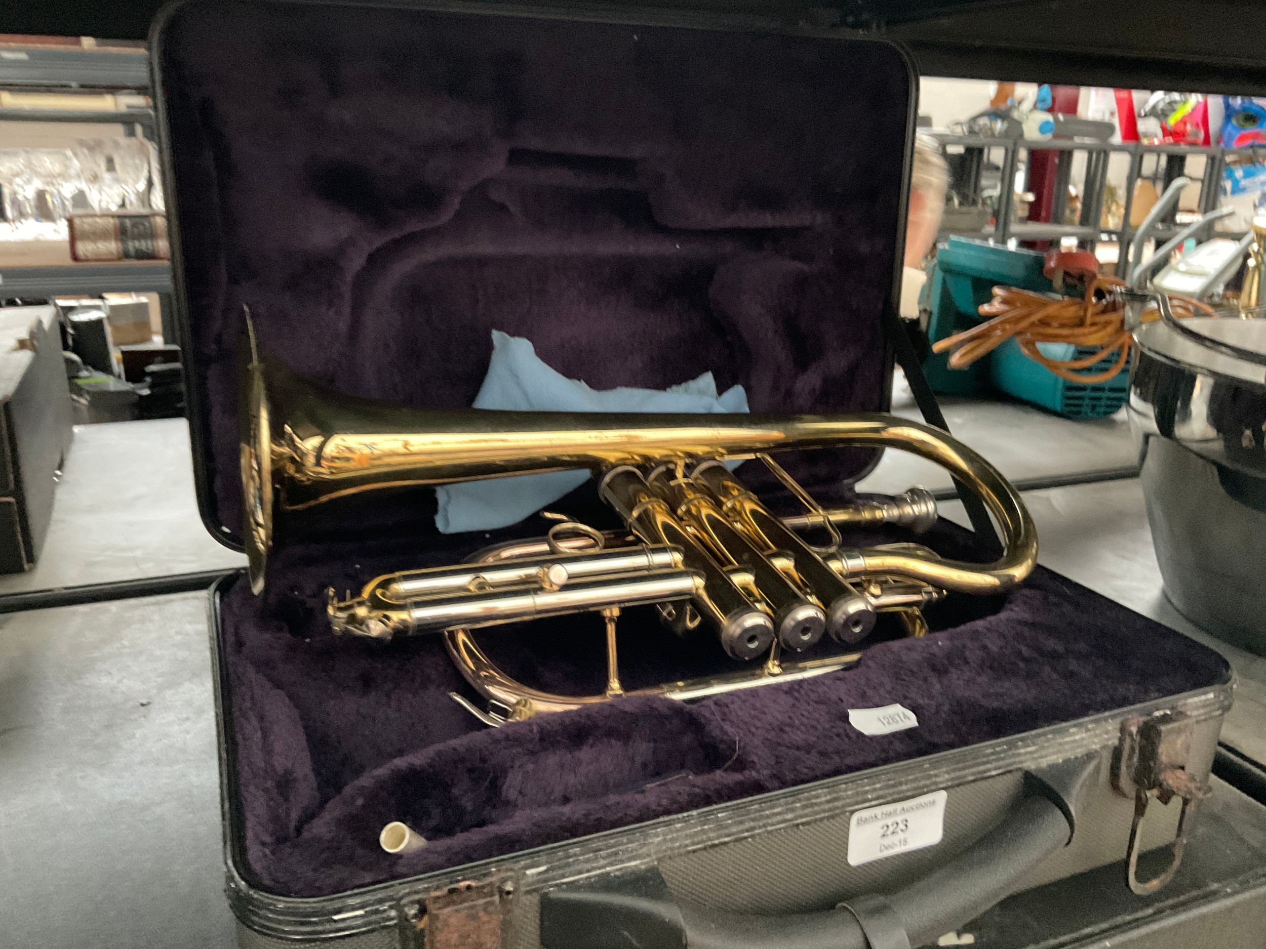 Lot 223