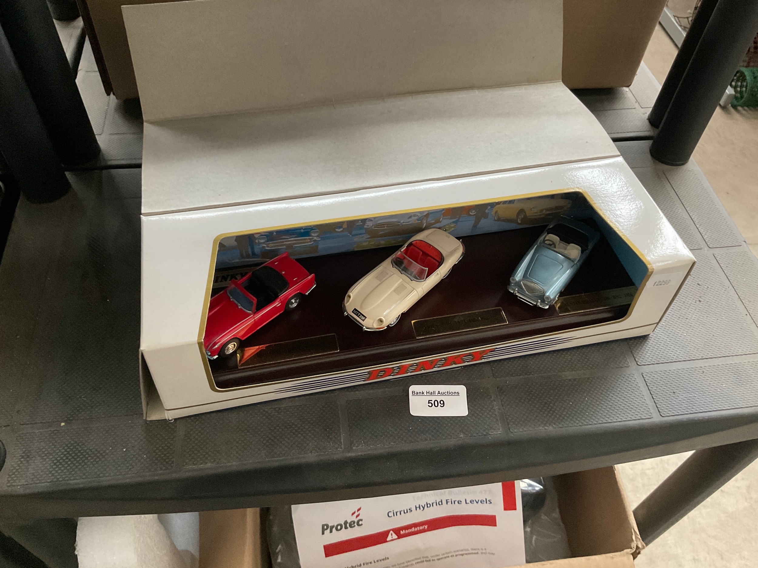 Lot 509