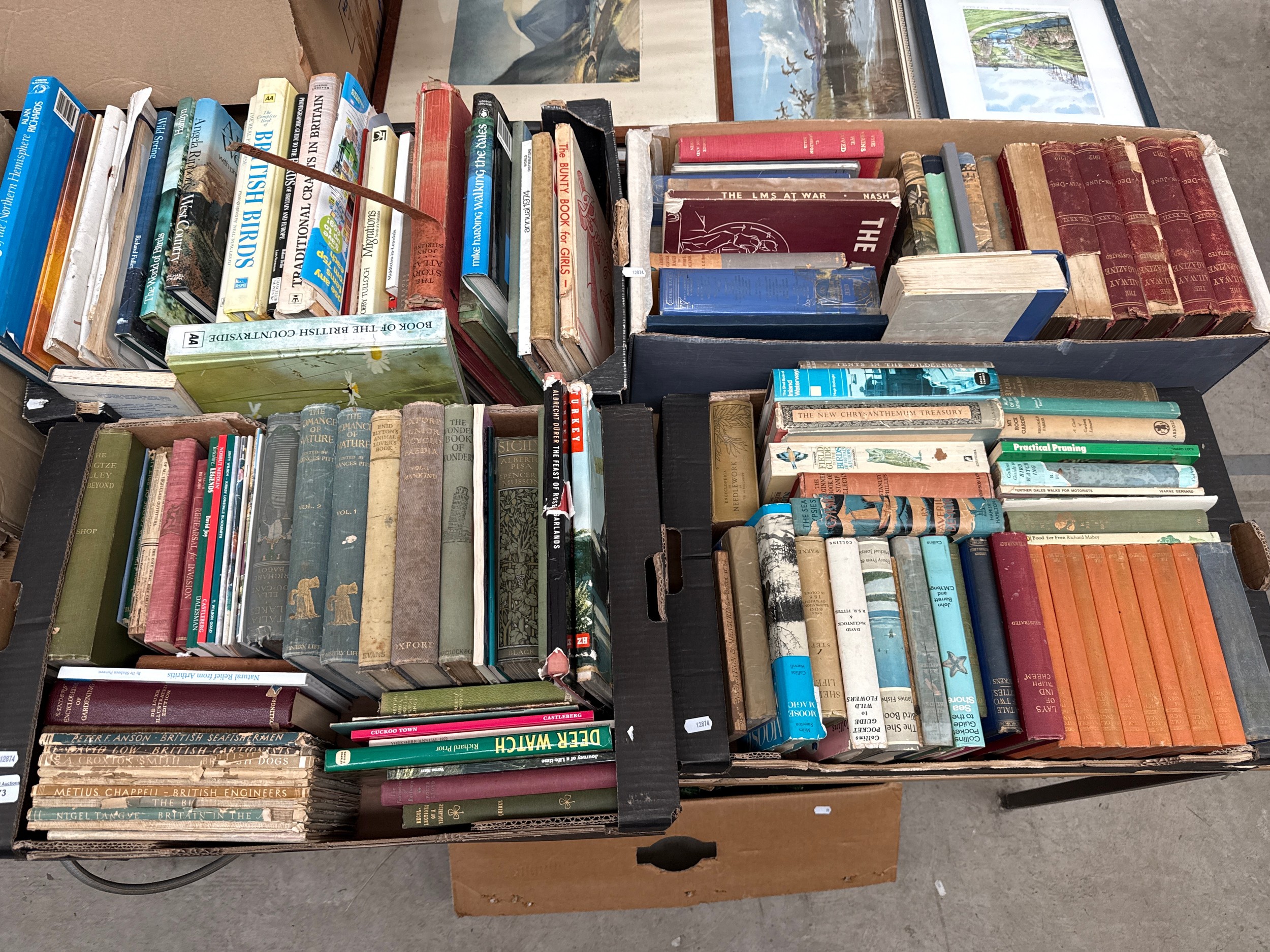 Four boxes of vintage books