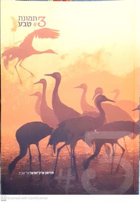 תמונת טבע 3 : 31.8.2016-14.4.2016. אוצרת התערוכה : גליה גור זאב. 2016. צילומים צבעוניים, איורים. . 