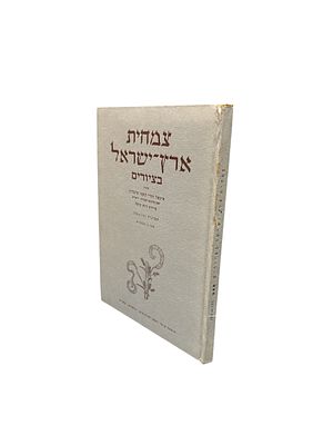 צמחית ארץ-ישראל בציורים : תמונות 150-101. מאת מיכאל זהרי ונעמי פינברון. ציירה : רות קופל. תשט"ז. . 