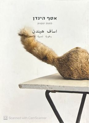 אסף הינדן : לחות יחסית. 2018. קטלוג תערוכה בעברית, ערבית ואנגלית. צילומים צבעוניים. . אסף 