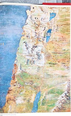 מראות בראשית : טבע ונוף בארץ-ישראל. מאת צבי הר-שפר. 2002 - מהדורה מיוחדת. צילומים וציורים צבעוניים.