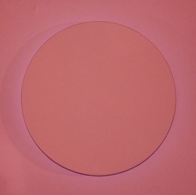 BANI BRUNO Cernusco sul Naviglio (Mi) 1954 Total Pink 2021 Acrilico e neon su... - BANI BRUNO 