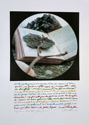 LUCA MARIA PATELLA - Chevalet Feerique. 2001 70x70cm Cartella con litografia a colori es. 55/100 
