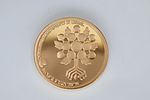 Gold Coin, Achievements of Science in Israel - 37 Years of Israel's Independence 
900 gold coin Image - 2