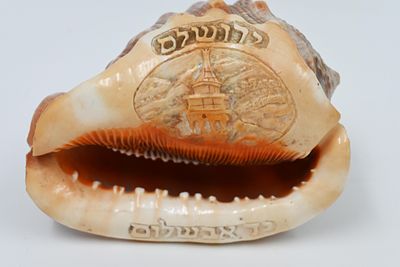 Shell – Souvenir of the Hand of Absalom 
A shell with carved inscription: "Yerushalem", "Yad 