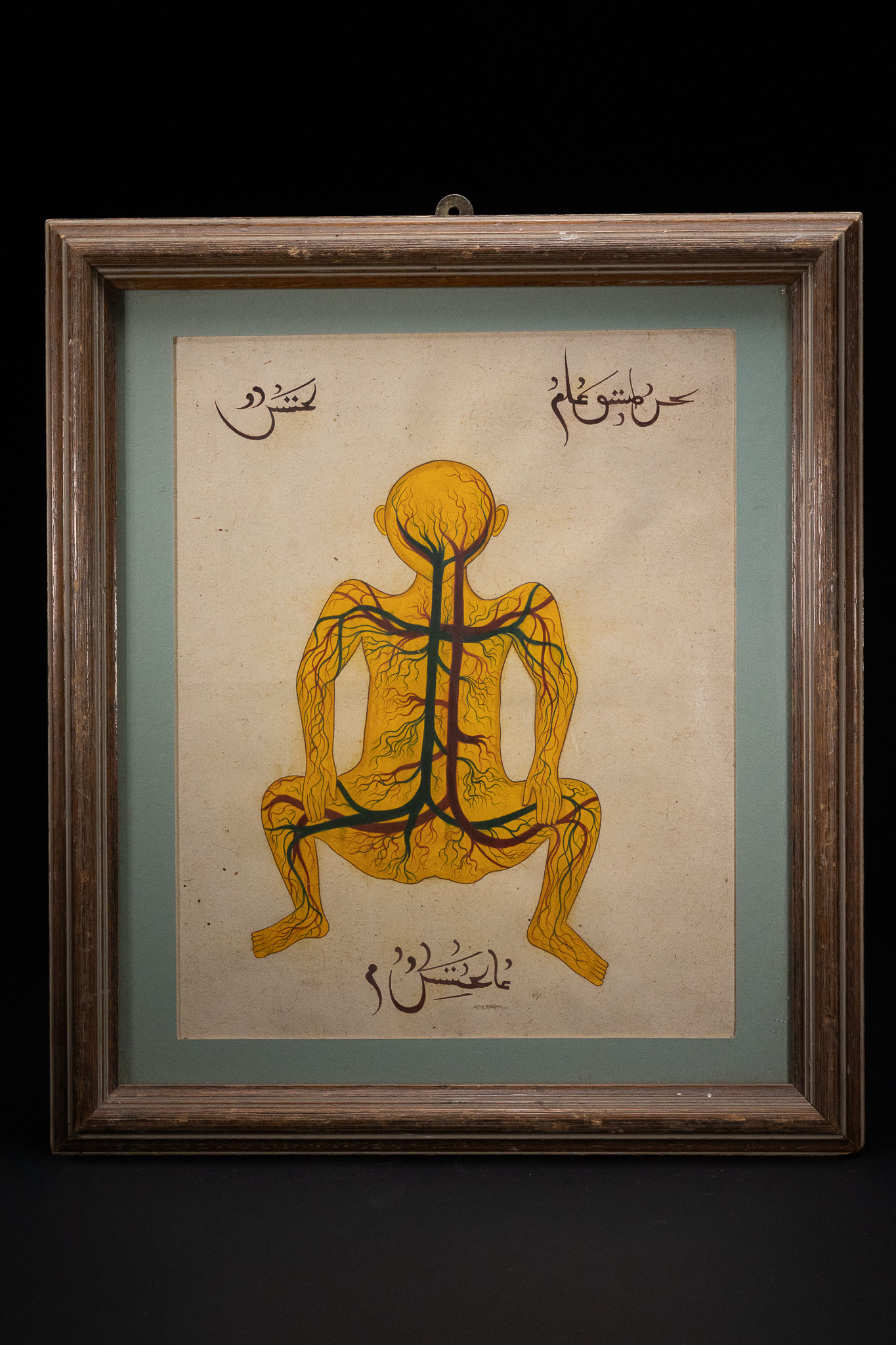 A PERSO-ISLAMIC ANATOMICAL ILLUSTRATION OF THE VASCULAR SYSTEM AFTER MANSUR IBN ILYAS.